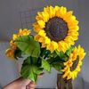 orquidea_hernandez1