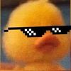 sr.duck09