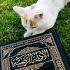 safiya__79