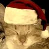 chrisbell_ratificar