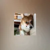 jadooochenni32