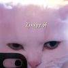 zixxyy_r1