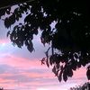 kirrily92
