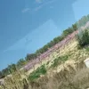 ilchillguy12