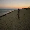 alex_gbrt