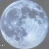 t0xenl