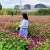 poe.ei.phyu273