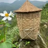 thangpham4462