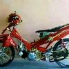 rosi152455