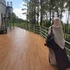 snf_salsabilla