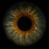 m583592