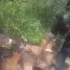 siwahuteun8