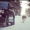 xaleddin_020_