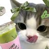 nur.eryna0