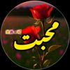 sanamjan2428