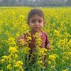 mdjohiruddin813