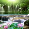 salem.gebrewahid