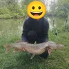 le_zanderman_du39