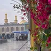 mustafaa_kadhim