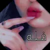 ma_alk16