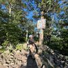 nature_po18