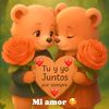 user1335161531486