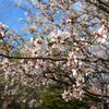 nur_00298