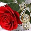 miral.hanin