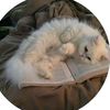 non_alktaine6