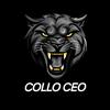 collo_ceo