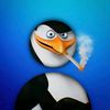 user6901795388671