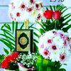 obsi.badhaso