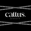 Cattus | Prata 925