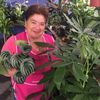 donatereplants