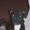 boogy482