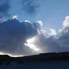 liviasofia.de.oli