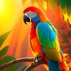 mr.__.parrot