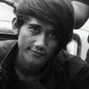 theplink_