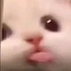 uxdy_777