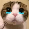 alibabaaomalazadasizuka