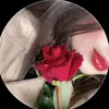 ranyaim34