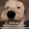 amsspriv24