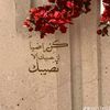 user225287100651