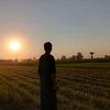 amr.ahmed795