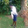 brenda.wamalwa3