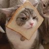 fatimah.chan