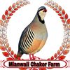 chakor_birds01