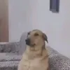 m.soopy