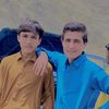 shaheen.jani313