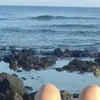 macarena.quintero5